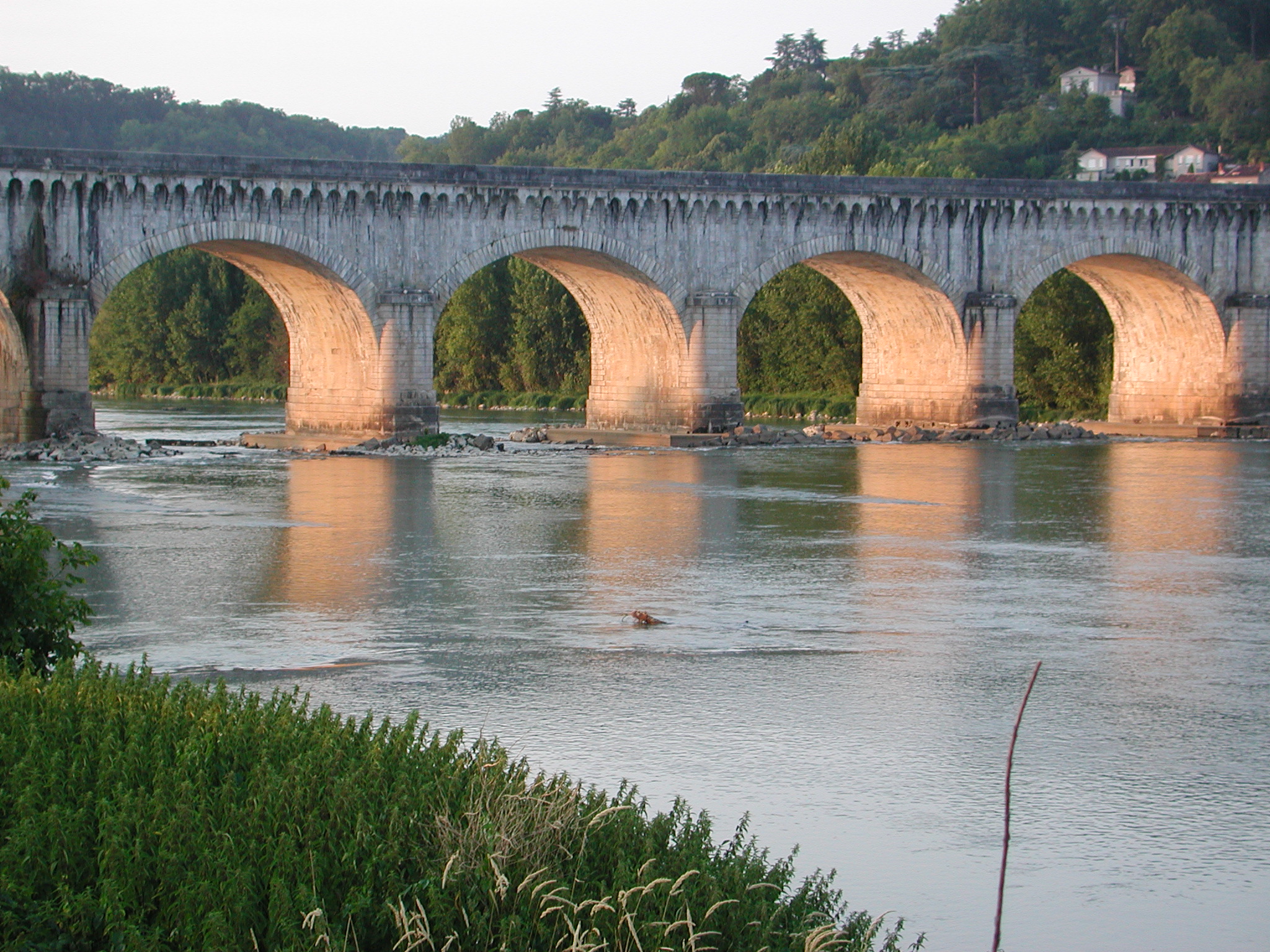 Droit de l’environnement - Cabinet Maître Tandonnet